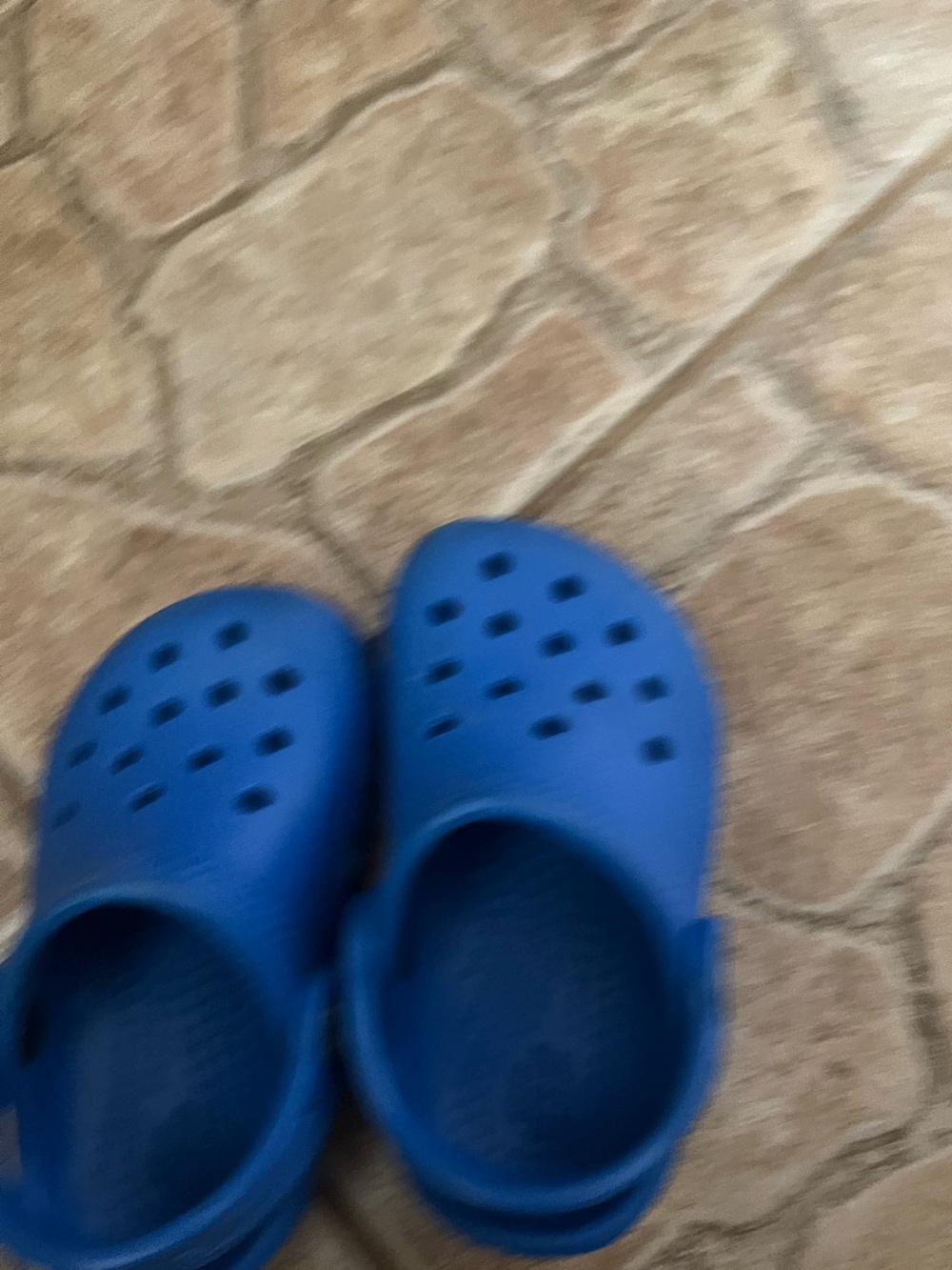 CROCS Kids Royal Blue Classic Clogs